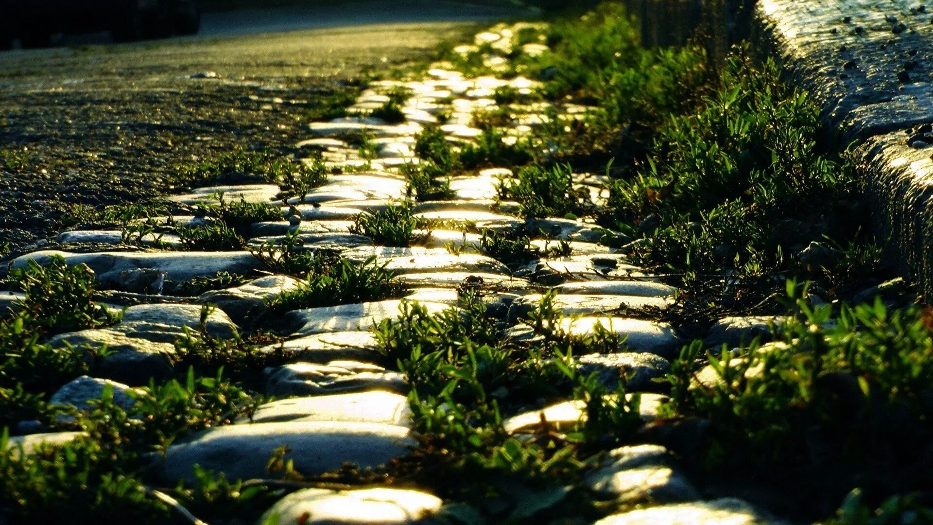 Better paths