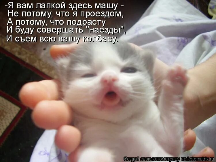 Джон уонамейкер. Джон ванамейкер цитаты. Мансур надпись. Я знаю точно невозможное возможно мем. Полюбить себя статус.