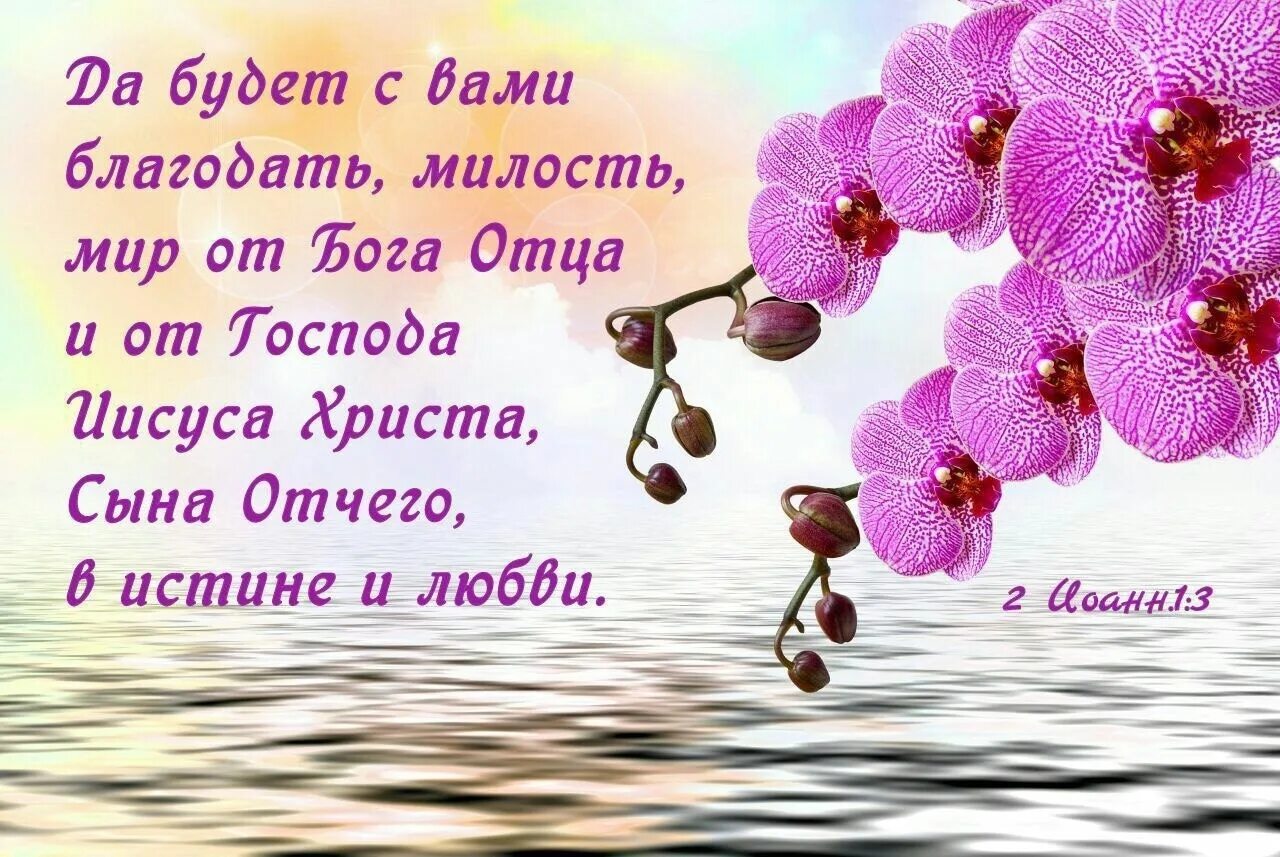 Божьей вам милости и благодати. Мир и Благодать. Это божья благодать песня все мое родное