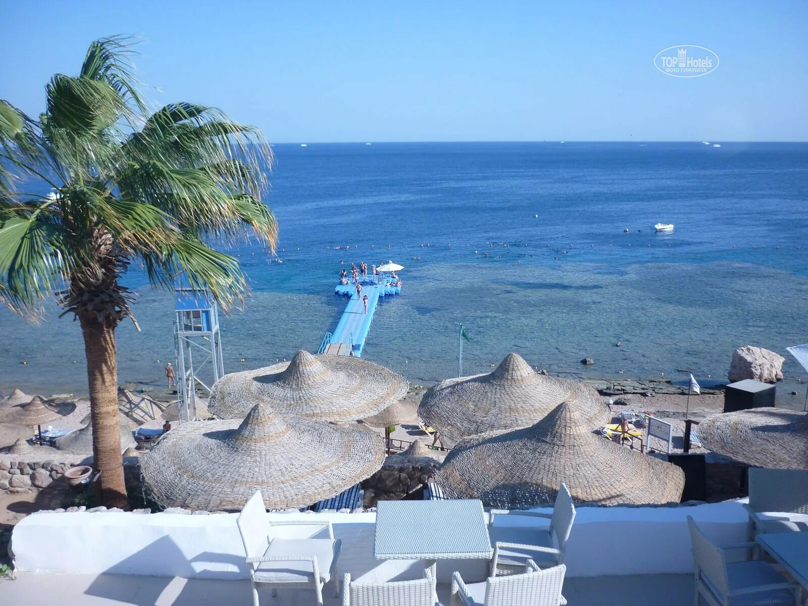 Египет шарм-эль-шейх отель конкорд фронт 5. Египет отель конкорд фронт шарм-эль-шейх. Шарм-эль-шейх конкорд фронт 5. Конкорд эль салам фронт шарм-эль-шейх. Фку 5 лет.