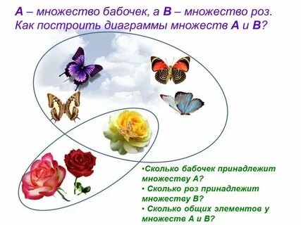 Построй диаграммы множеств