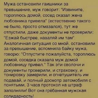 Мужская солидарность что это