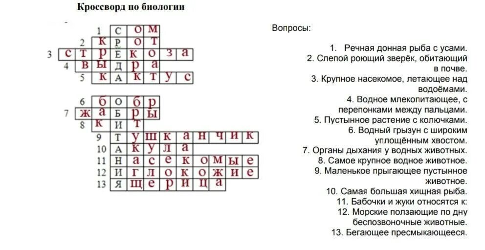 Кроссворд на тему среда обитания. Речная донная рыба с усами. Кроссворд по биологии 5 класс среда обитания. Кроссворд по биологии рыбы.