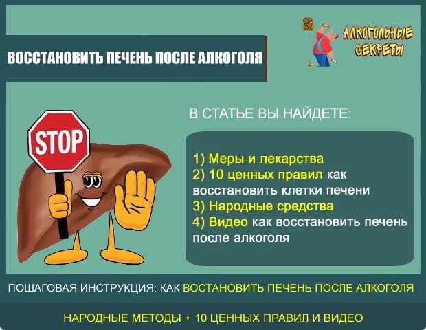 Сколько восстанавливать печень. Печень после алкоголизма.