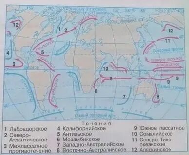 Западные берега материков холодные течения