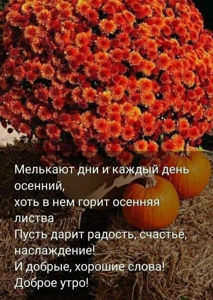 Цветы осенью цитаты
