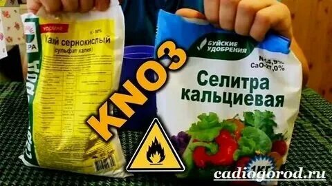 Селитра аммиачная мешок 50кг. Селитра газета. Аммиачная селитра удобрение. Акрон селитра аммиачная марка б. Кальцинированная селитра.