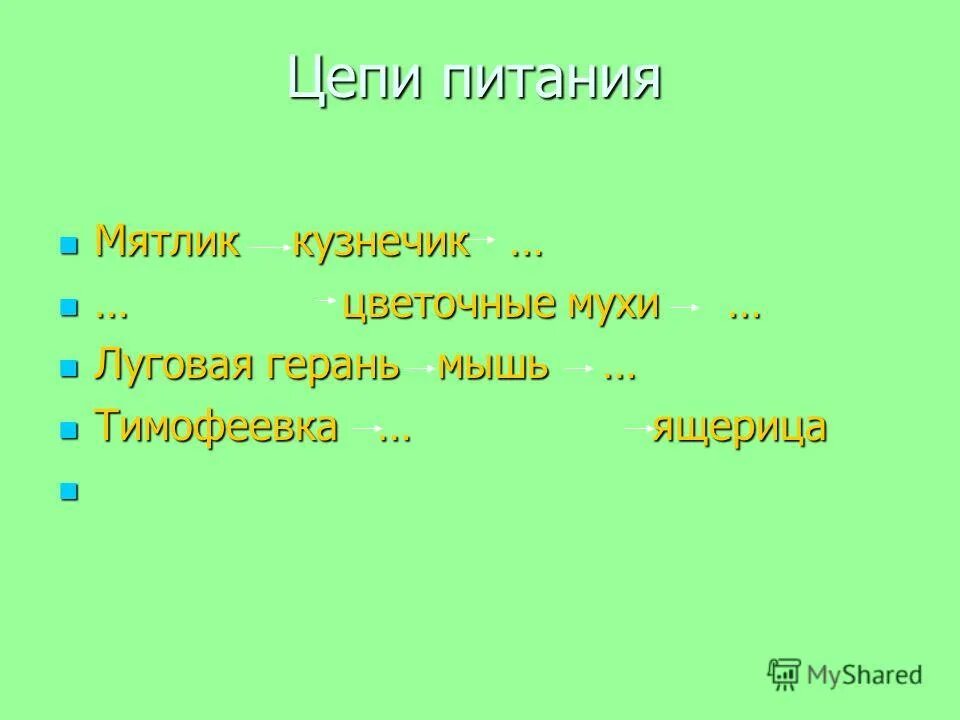 Цепь питания луга. Лисохвост и тимофеевка. Мятлик кобылка цепь питания. Цепь питания кобылка. Пропущенное звено в цепи питания мятлик кобылка.
