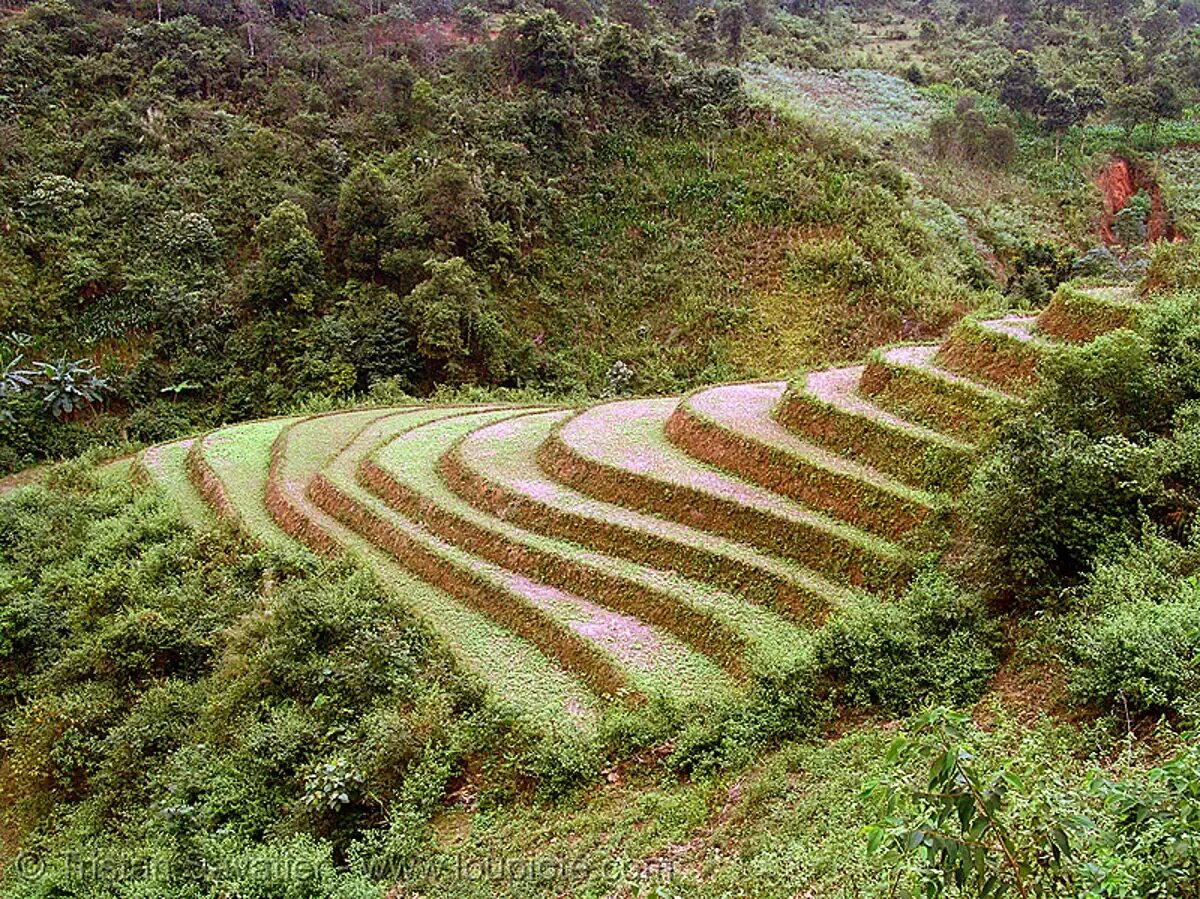 Terracing. Exist fields