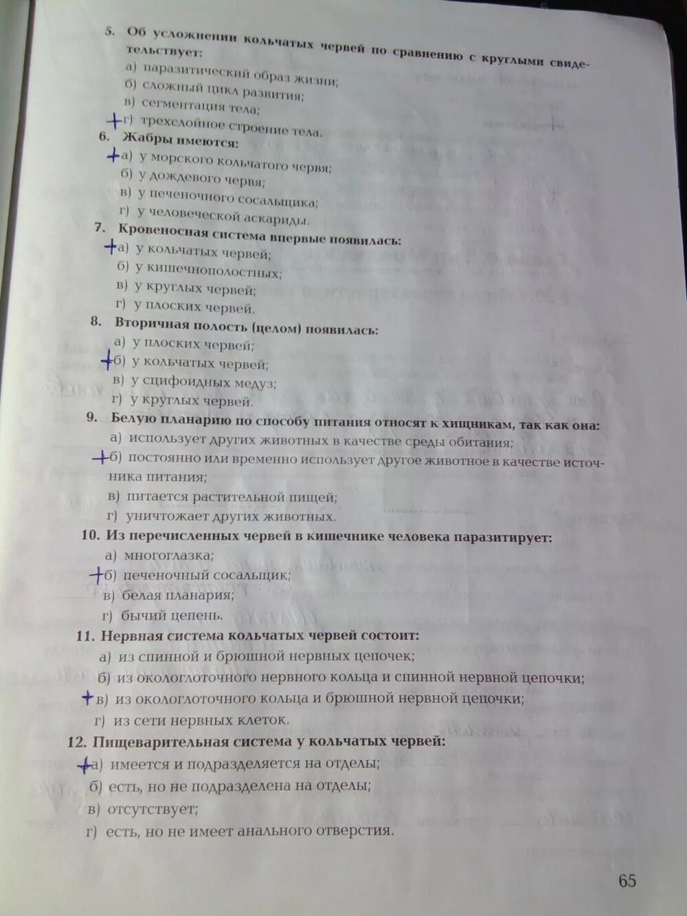 Тест млекопитающие 7 класс с ответами биология. Тест по биологии 7 класс млекопитающие. Биология 7 класс млекопитающие тест. Тест млекопитающие 7 класс.