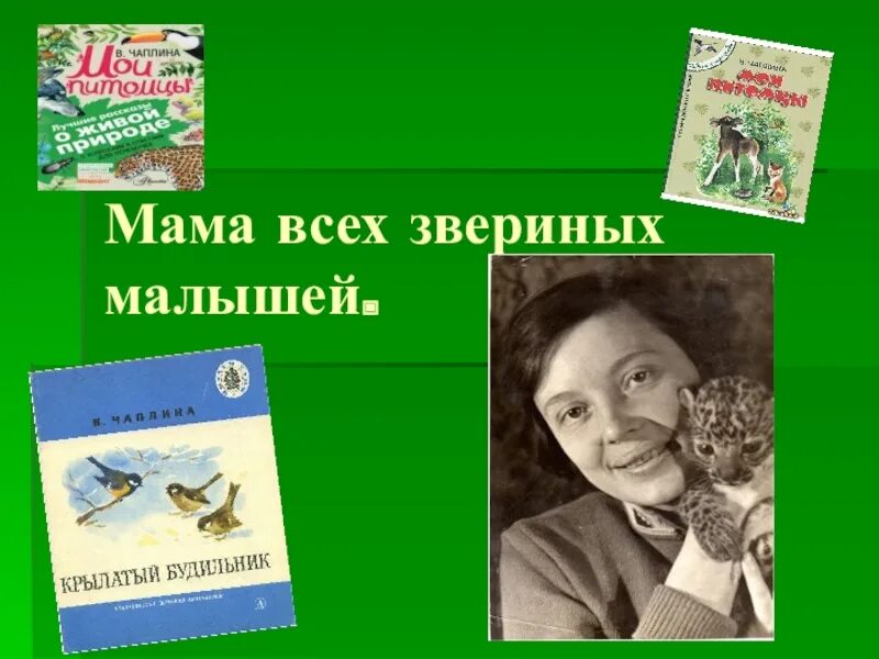 Чаплина крылатый будильник. Портрет писательницы веры в Чаплиной.