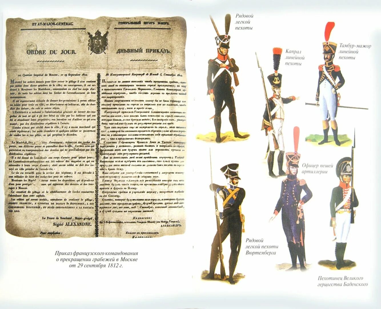 Наполеон 3 книги. Наполеон 3 книги. Книги империя бонапарт. Наполеон 3 книги. Книга для нумизматов.