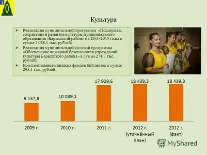 Реализация муниципальная программа развитие культуры