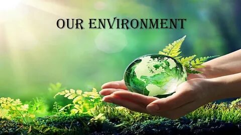 Individuals and the environment