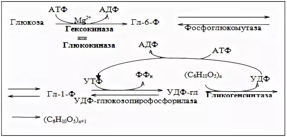Геншин реакции