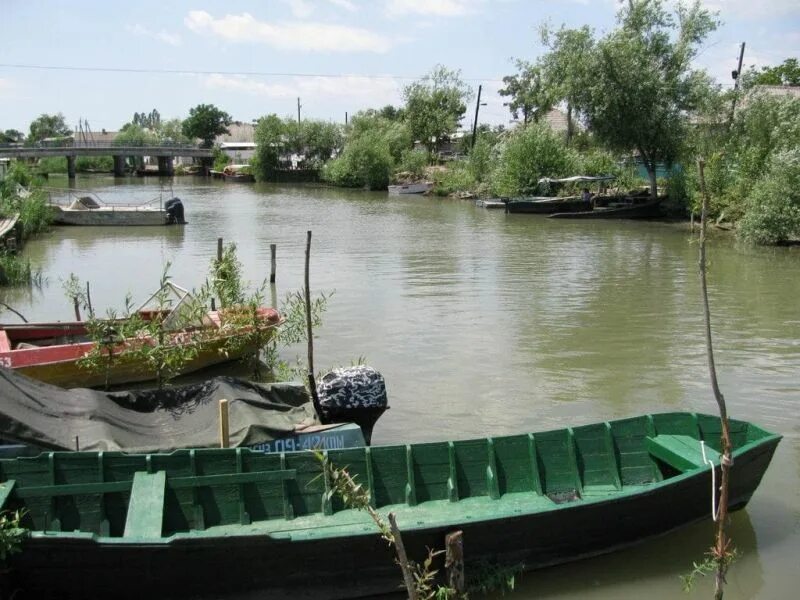 Вилково одесская. Одесская Венеция Вилково. Город Вилково Украина. Г Вилково украинская Венеция. Вилкова Одесская область.