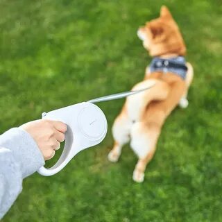 Petkit max
