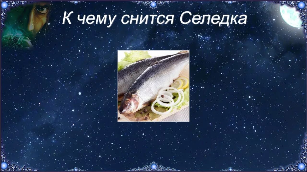 К чему снится селедка. К чему снится рыба селедка. К чему снится селедка соленая женщине. К чему снится солёная рыба. Видеть во сне рыба ест рыбу