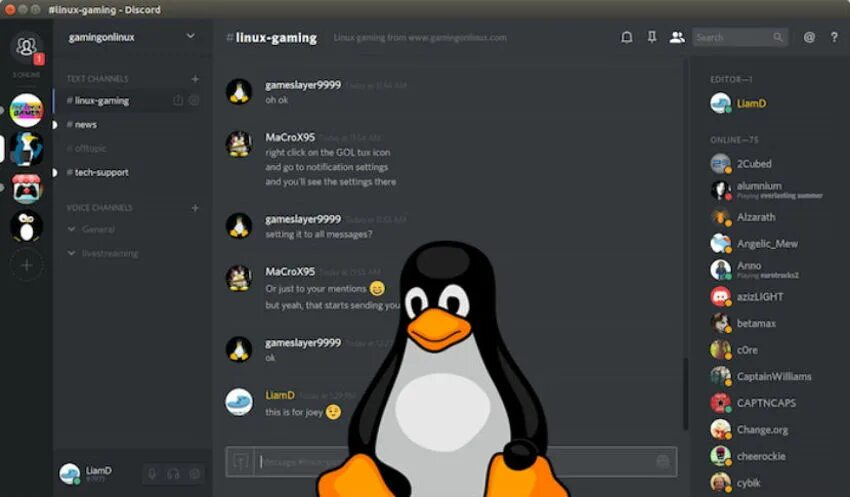 Линукс скрины. Discord линукс. линукс гейминг. линукс для гейминга. linux mint discord.