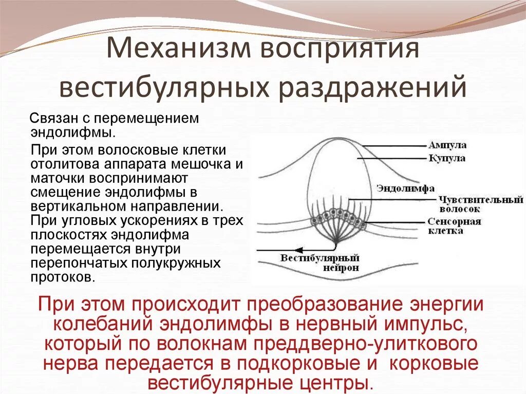 Раздражение чувствительного нерва