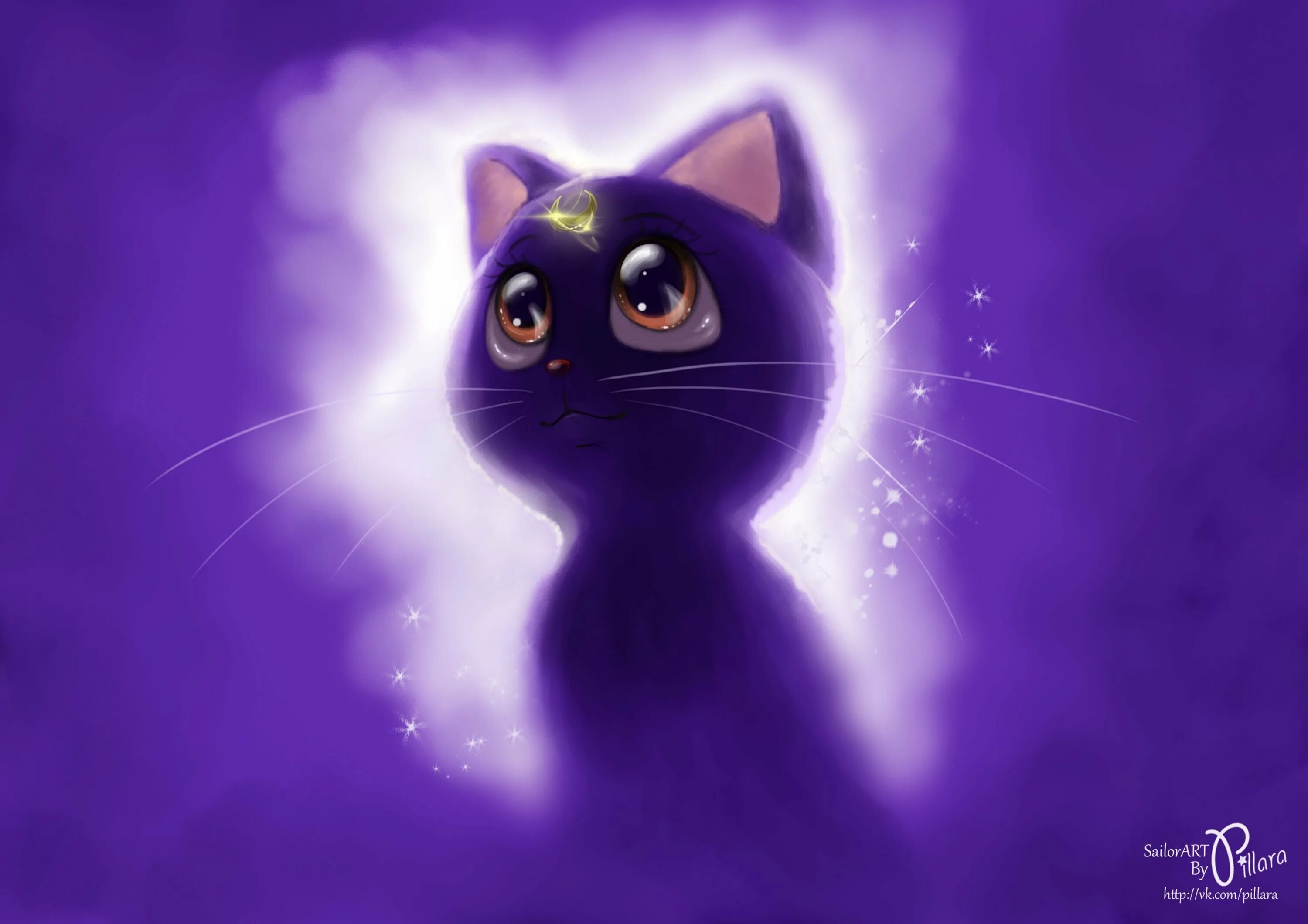 Розово фиолетовый кот. Фиолетовая кошка. Розово фиолетовый кот. Котенок на розовом фоне. Лиловые коты.