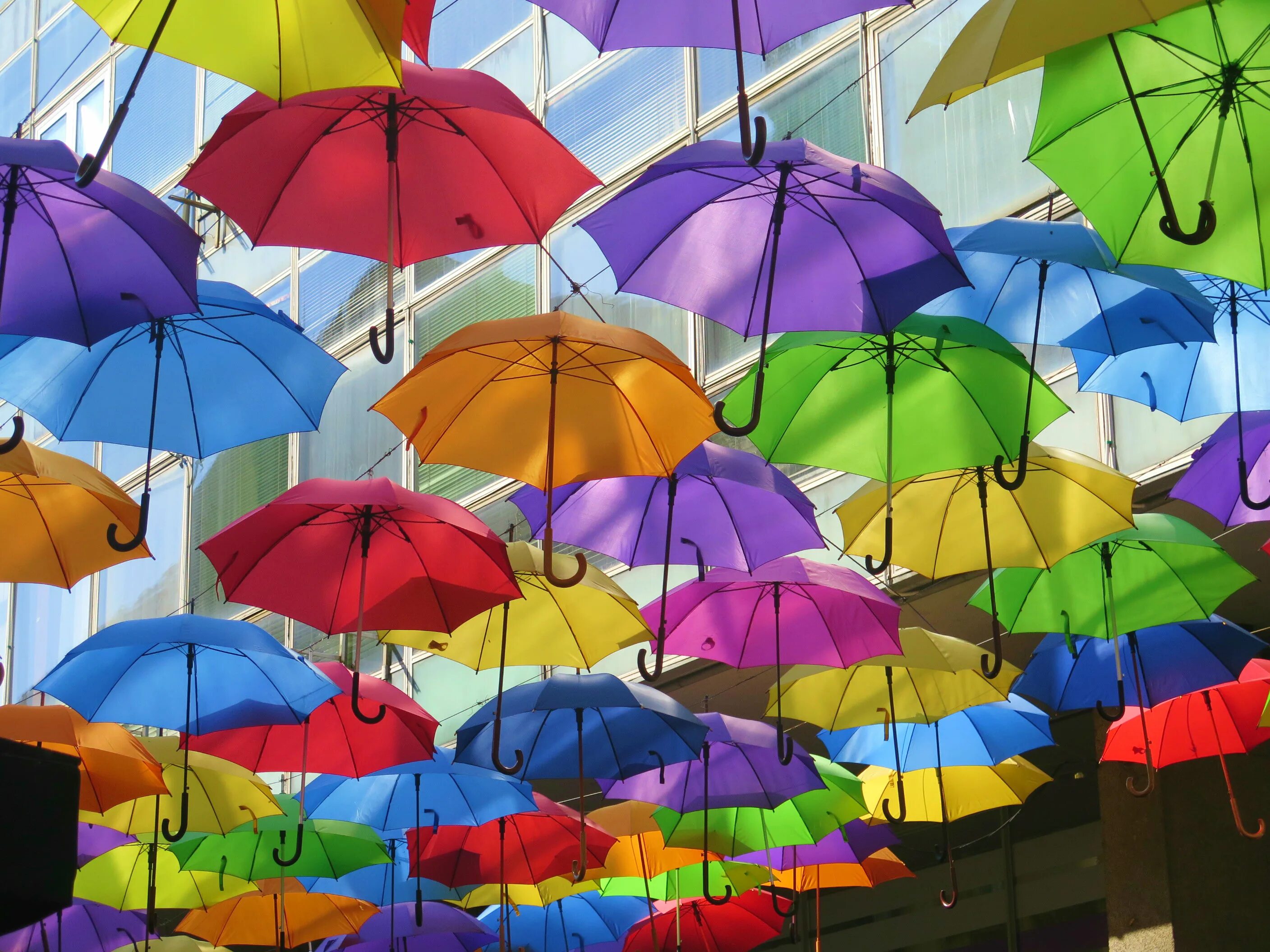 Зонтик г. Зонтик. Зонт над головой. Фотообои зонтики. Аллея зонтиков в Португалии.