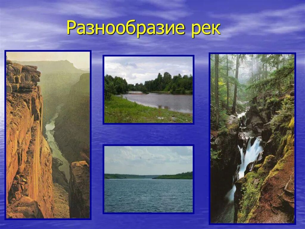 Видовое разнообразие реки. Разнообразие рек. Слайд река. Разнообразие рек России. Функции и разнообразие Ренк.