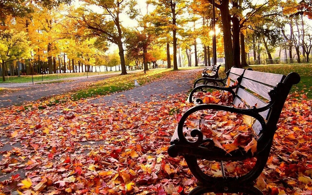 Куз 2. Осень в парке. Парк осенью. Осенний сквер. Осень в городе.