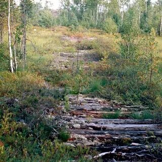 Через какую область не проходит государева дорога