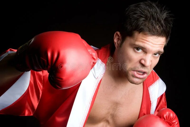 Боксер охранник. Jason Stitt боксер. Щенки боксёры в перчатках. Jason Stitt male Boxer Фотобанк Лори. Jason Stitt человек бокса.