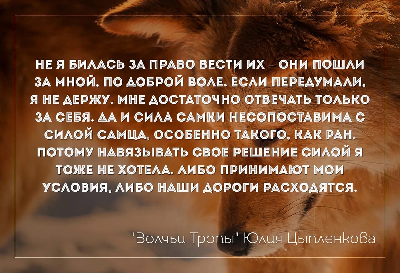 Цитаты тропа. Волчий тропа цитаты. волчья тропа со стихами. жизнь это волчья тропа. волчья тропа ли комикс.