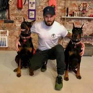 Алекс коте