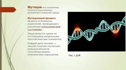 Случайное изменение генотипа это
