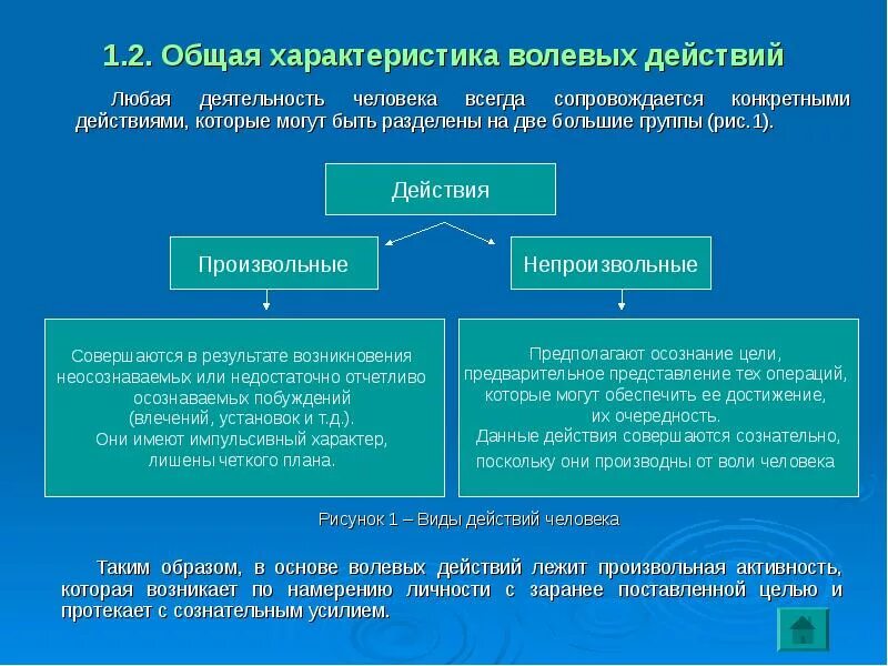 Общая характеристика волевых действий. Общая характеристика волевых действий в психологии. Характеристика волевых действий. Основные характеристики волевого действия.