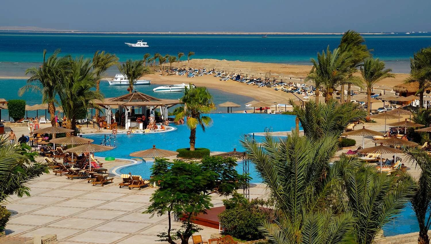 мумифицированные крокодилы в египте. Four seasons hotel египет шарм-эль-шейх. египет 4 дня. Arabia azur beach resort 4*. шарм-эль-шейх отель гранд оазис резорт 4.