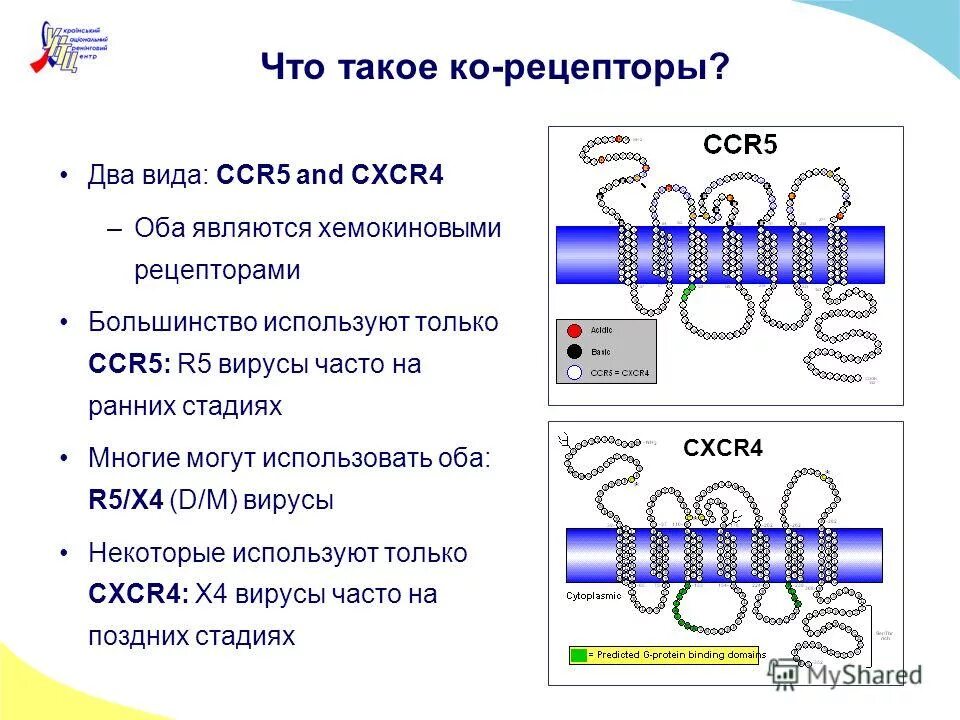Что такое ко. Что такое ко