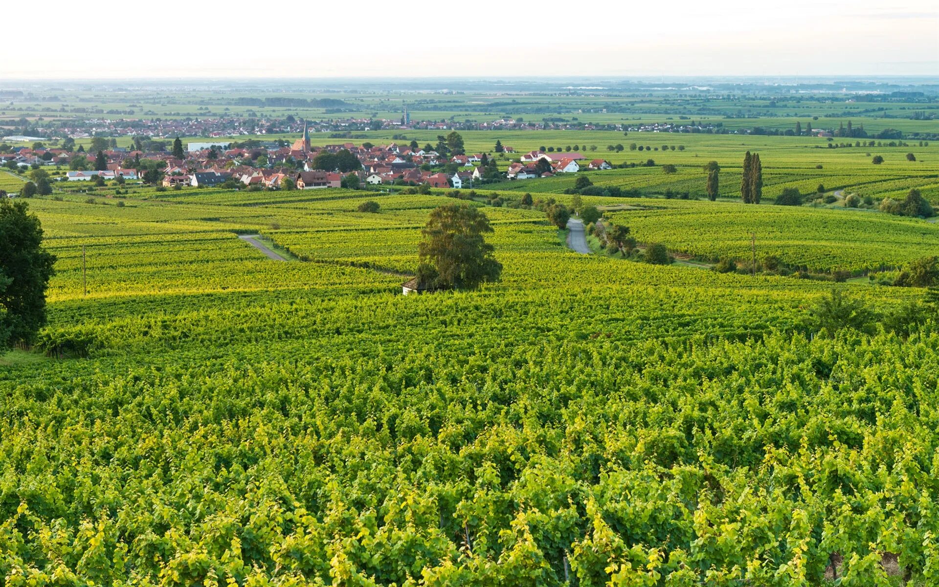Поле и город. Г на поле. Г на поле. Г на поле. Г на поле.
