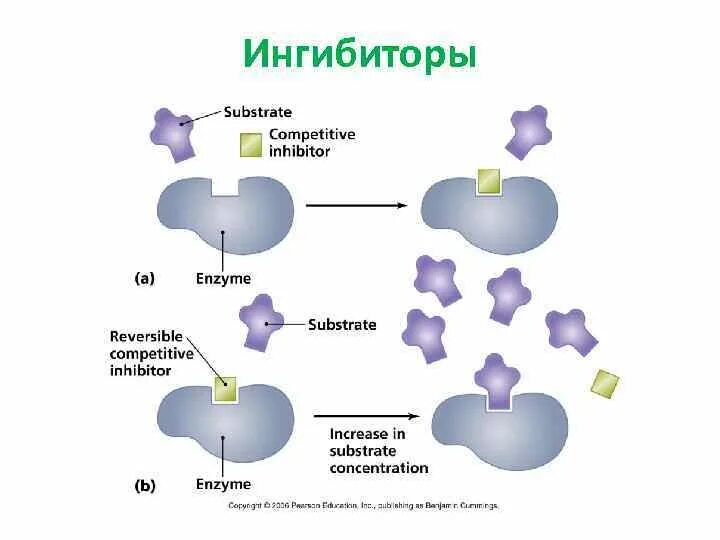 Ингибирование это