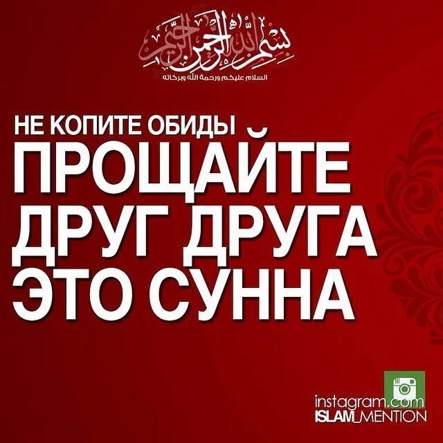 Мусульманское прощение. Прощение в Исламе. Прощение в Исламе цитаты. Прощение в Исламе хадисы.