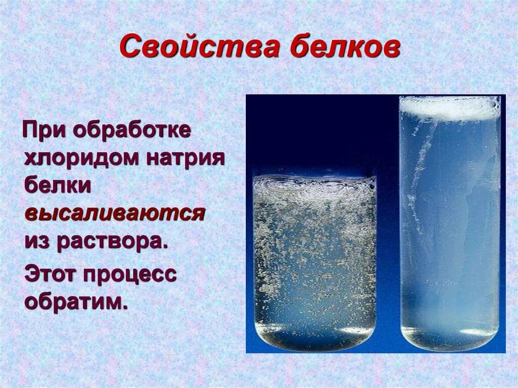 Общие свойства белков. Белки свойства. Свойства белков. Специфическое свойство белка. Свойства белка биология.