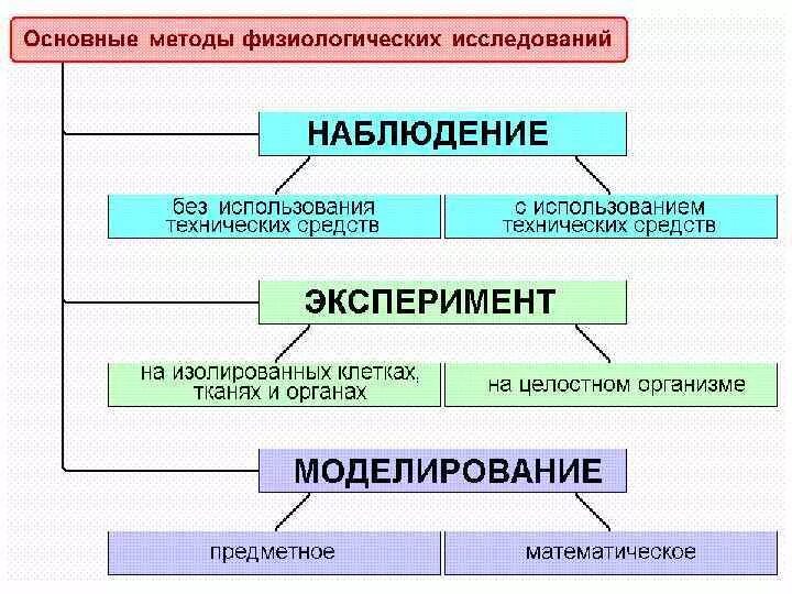 И т д основным методом. Методы физиологических исследований. Физиологические методы изучения. Метод исследования физиологии. Методы исследования физиологии человека.