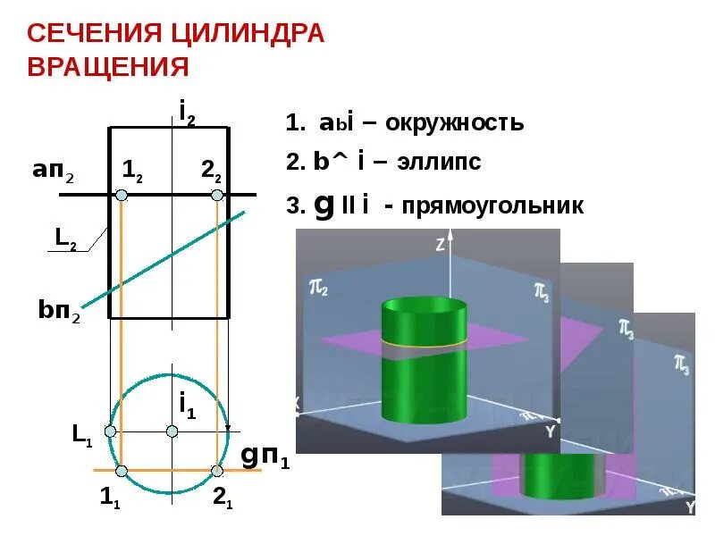 Поверхность вращения цилиндра. Сечение цилиндра. сечения цилиндрической поверхности. сечение цилиндра эллипс. цилиндр в разрезе.