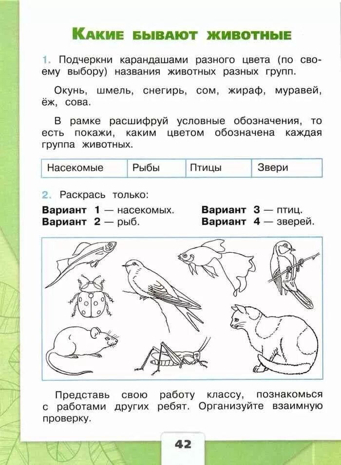 Задание по окр миру 2 класс