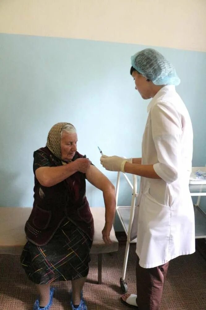 Новости вакцинации. Губернатор делает прививку Псков. Делают прививку Шигеллвак в Богородицка Тульской области сегодня.