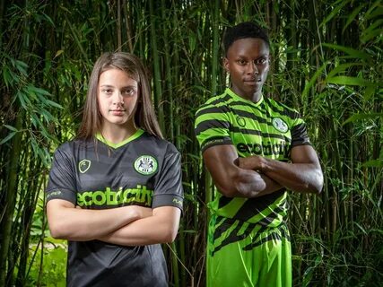 Green forest pro