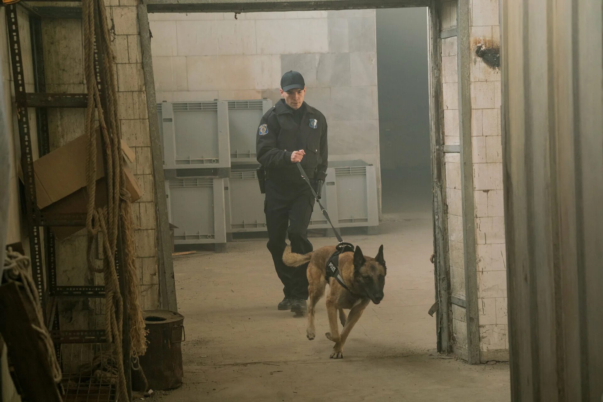 цепной пес дивный