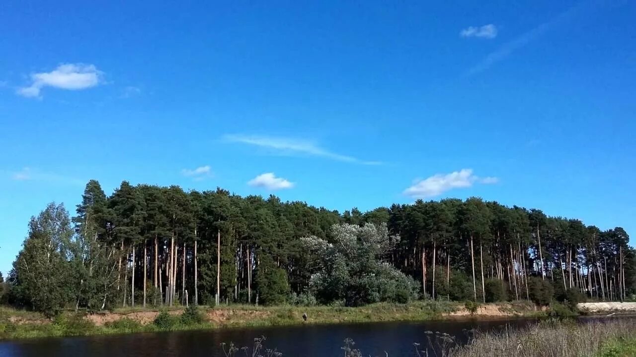 Заповедник завидово. Парк Завидово Тверская область. Национальный заповедник Завидово. Заповедник в Тверской области Завидово. Национальный парк государственный комплекс Завидово.