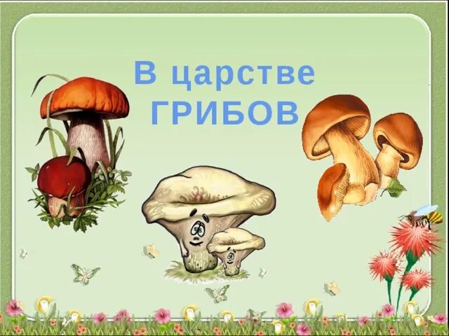 Урок царство грибов