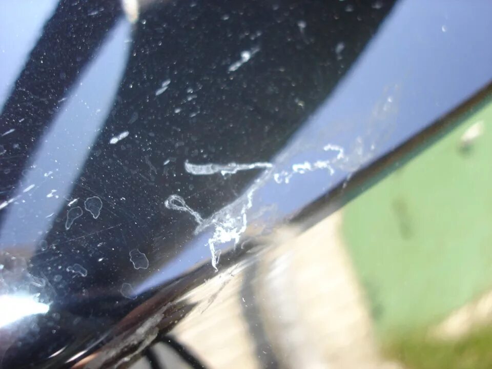 На стекле осталось пятно. На стекле осталось пятно жира значит кожа выделяет жир. Лобовое стекло в крапинку. Царапина на матрице ноутбука. Скол от камня на лобовом стекле.