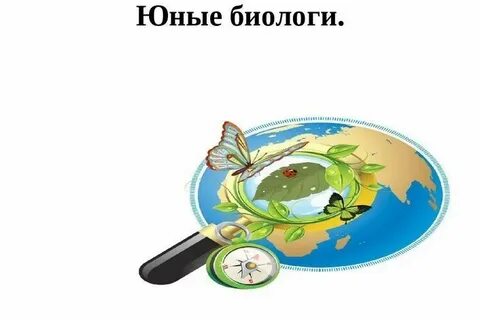 Программа юные биологи